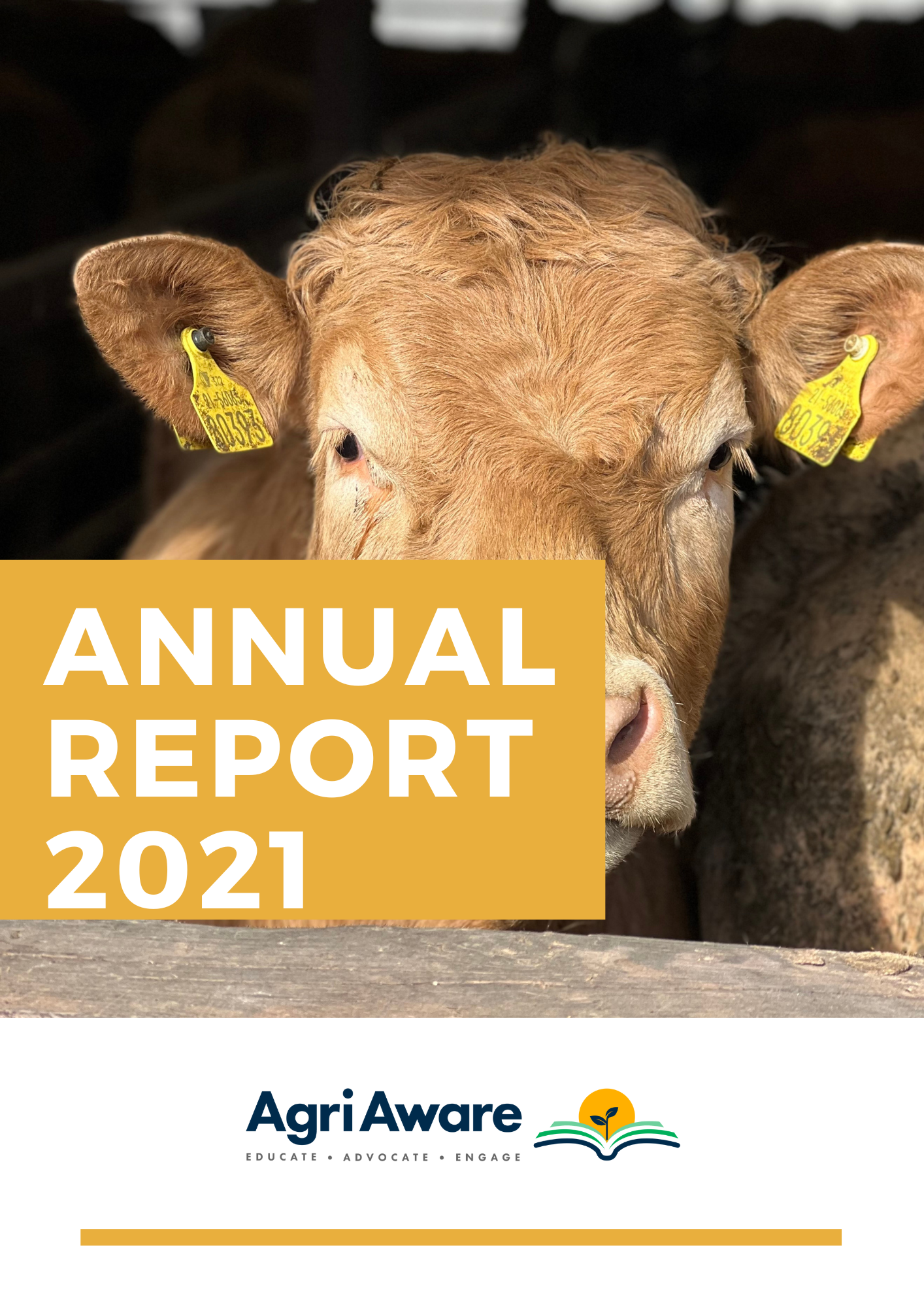 AA Annual Report 2021 final